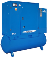 Винтовой компрессор REMEZA ВК20-15-500-ДВС в Санкт-Петербурге | DILEKS.RU