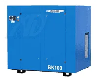 Винтовой компрессор REMEZA ВК100-13 в Санкт-Петербурге | DILEKS.RU