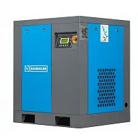 Винтовой компрессор Hansmann RSA 5.5 8 в Санкт-Петербурге | DILEKS.RU